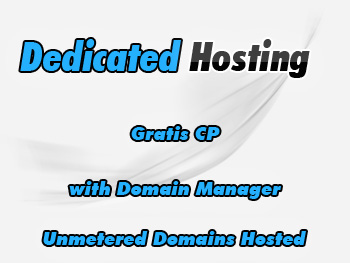 Cheap dedicated servers hosting service